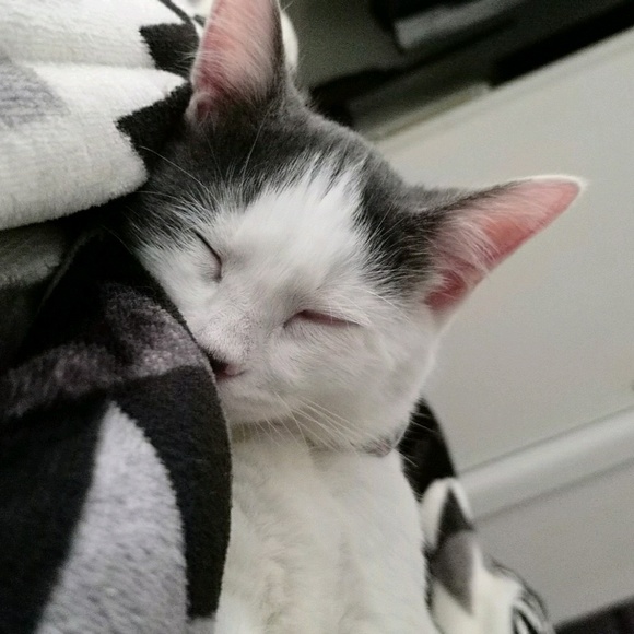 Meet your Posher, Rychele - Picture 1 of 1